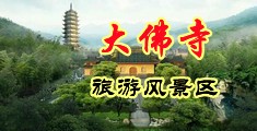 啊啊啊,插我逼啊中国浙江-新昌大佛寺旅游风景区